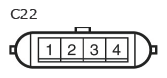 G11133704