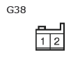 G11133825