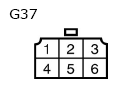 G11134384