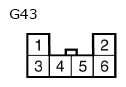 G11134388
