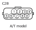 G11134894