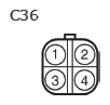 G11134902