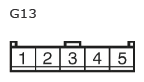 G11135019