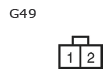 G11135049