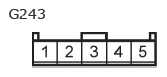 G11135365