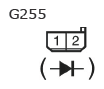 G11135369
