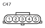 G11135580
