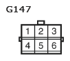 G11135694