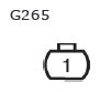 G11135710