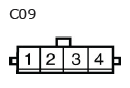 G11135931