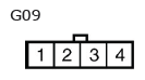 G11136043