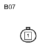 G11136161