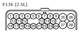 G11136564