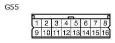 G11136646