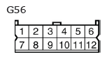 G11136647
