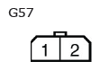 G11136648