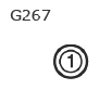 G11136939