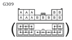 G11136946
