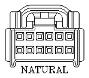 G11142536