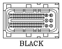 G11142982