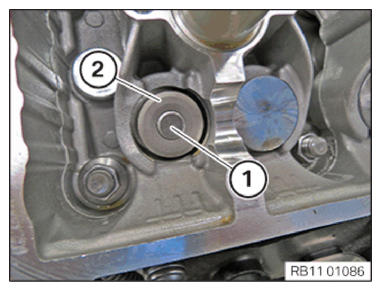 G11144504