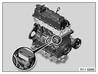 G11176208
