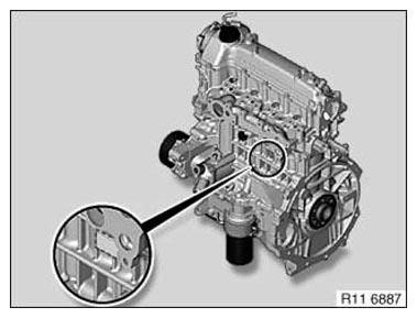 G11176210