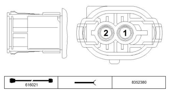 G11227653