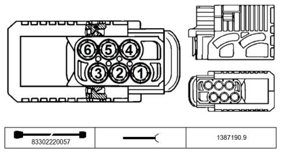 G11229808