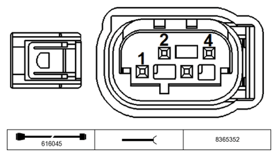 G11231125
