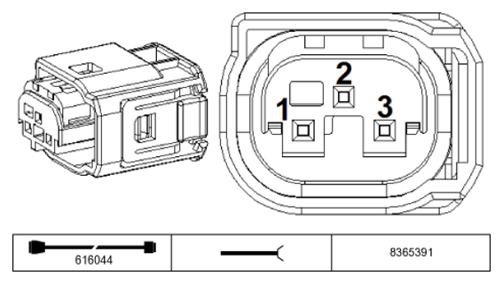 G11231196