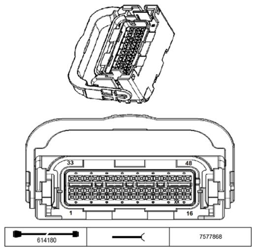 G11234031