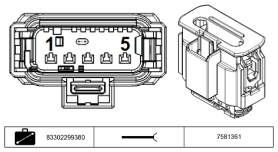 G11234291