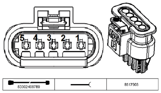G11234332