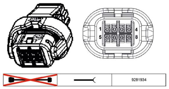 G11234384