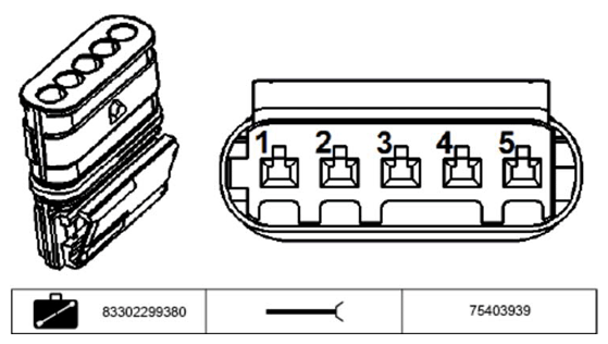 G11234392