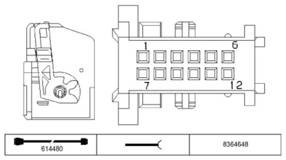 G11234396