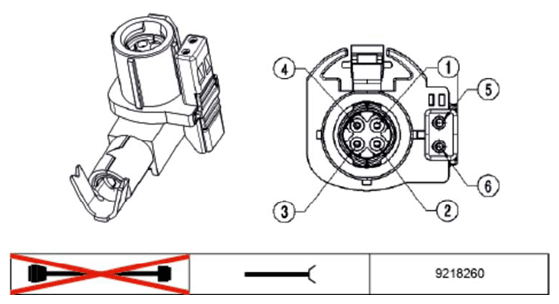 G11234421