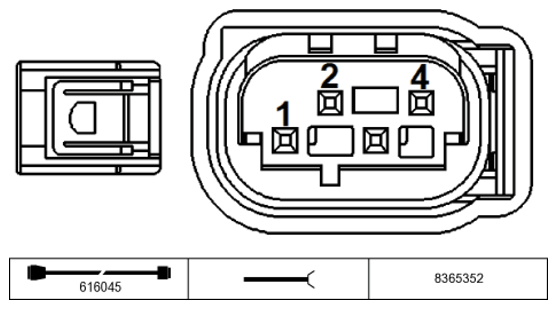G11234455
