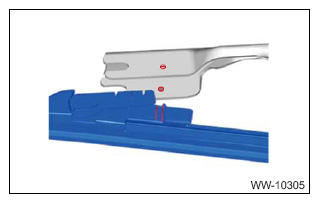 G11246036