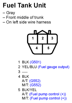G11247249