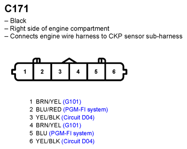 G11248183