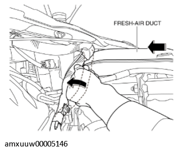 G11274489