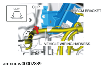 G11274618