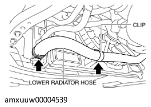G11275808