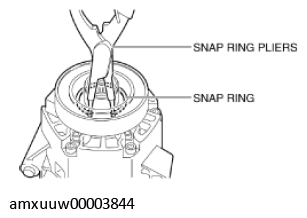G11276248