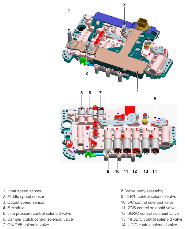 G11336856