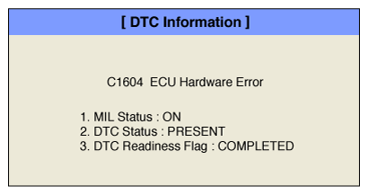 G11353833
