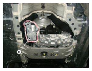 G11404944