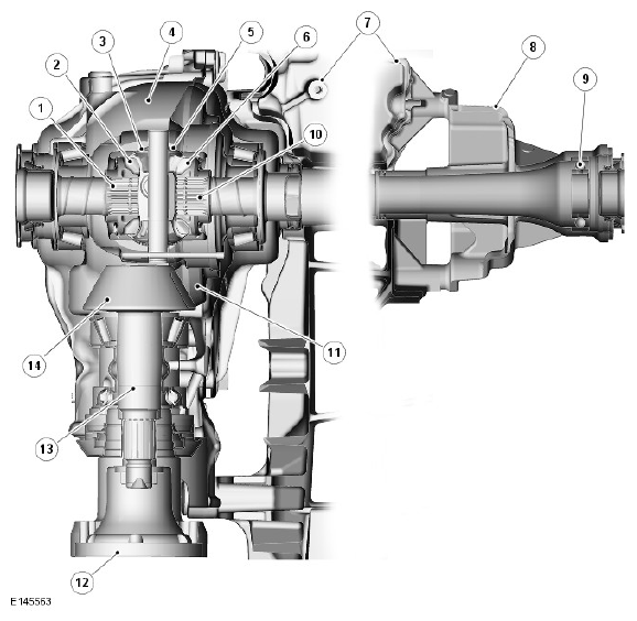 G11420798